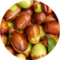 Huile de jojoba