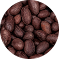 Beurre de cacao